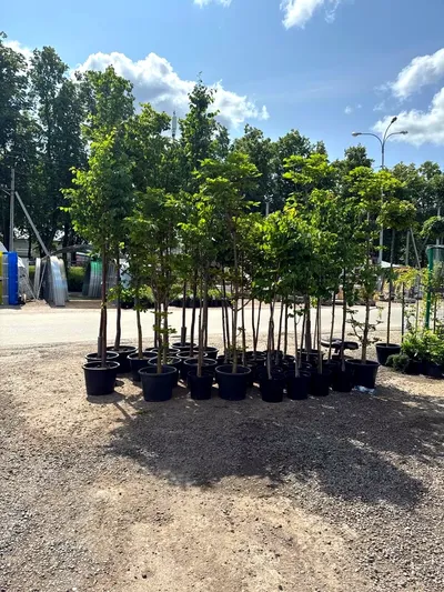 Крупномеры под заказ